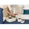 TATAY Storage Box Baobab ECOHOME, 5L Capacity, Polypropylene BPA free,