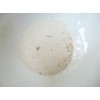 Manen Shiitake Tea, 2.8 oz (80 g)
