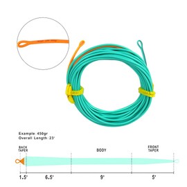 Aventik Skagit PlusShooting Head Floating Fly Fishing Line with Welded Loop (23ft,500grain)