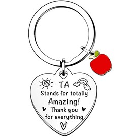 HULALA Appreciation Teaching Assistant Gifts Keyring Keychain Keepsake Key Rings TA Stands For Totally Amazing Thank You For Everything Key Rings