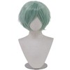 Cfalaicos 10 Inch Short Green Wig Men Layered for Halloween