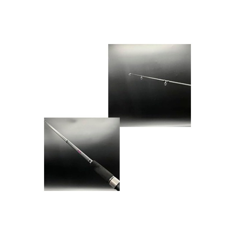 PROMARINE 614236 CB Legesta Akiaji 1103H Salt Rod