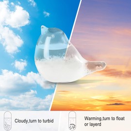 LTXDJ Storm Glass Weather Forecaster, Weather Station Bird Liquid Barometer Cute Creative Decorative Weather Predictor For Home Office, As Gift