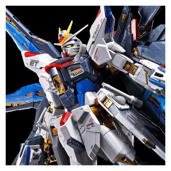 Bandai RG 1/144 Strike Freedom Gundam [titanium finish]