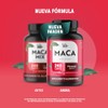 LIFE 360+ Maca Blend (Maca Negra, Amarilla y Roja)| 240