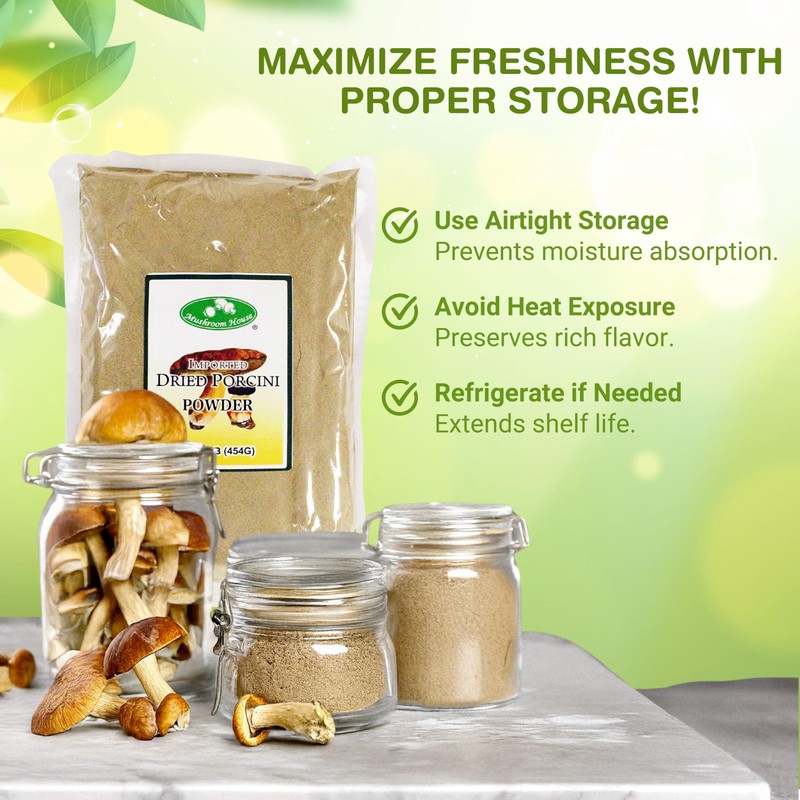 Mushroom House Dried Porcini Mushroom Powder, 1 lb - Wild-Harvested,