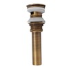 Pop Up Sink Drain Vintage Sink Vessel Drain Stopper Plant