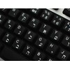 HEBREW KEYBOARD LABELS with WHITE LETTERING ON TRANSPARENT BACKGROUND for