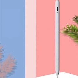 Universal Tablet Stylus Pen, Magnetic Adsorption Stylus with 2 Spare Tips, USB Port High Sensitivity Tablet Stylus Supports Palm Rejection