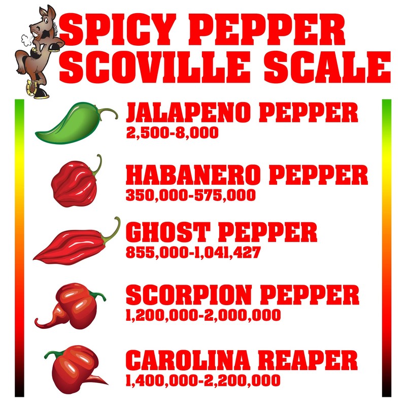 ASS KICKIN' Hot Sauce Mini Bottles Set (Gift Set -