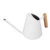 Watering Can with Long Spout Rustproof Stainless Steel Watering Pot
