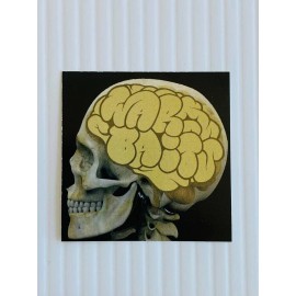 Warbaits Wairbaits Fishing Bait Sticker Brain Skull 2in