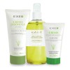 Rutina Skincare Acne Limpieza Tonificacion Correccion Exel