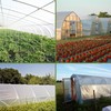 Greenhouse Plastic Sheeting, 24 x 25ft 6 mil Clear Greenhouse