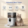 Automatic Cat Feeder, 4L Cat Food Dispenser with 10s Voice