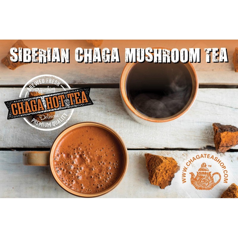 Siberian Chaga Mushroom Individual Filter Tea Bags Original 50 Filter