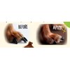 Dog Nail Scratch Board - with Treat Draw- Dog Scratch