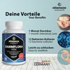 Vital, Intestinal Flora, 60 Capsules with 12 Active Cultures +