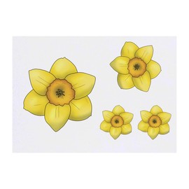 4 x 'Daffodil Flower Close Up' Temporary Tattoos - Water Resistant, Skin-Safe, Non-Toxic Transfers, Mixed Sizes (TO00072194)