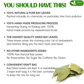 FreshDrinkUS, Premium 275+ Dried Bay Leaves, Bay Leaf Tea, Bay Leaves Spice, Whole Nice Leaves, Wildcrafted, Fresh Harvested, Bay Leaves For Cooking, Sugar-Free, Gluten Free, Caffeine Free, Vegan