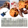 Gasea 30pcs 2.35mm Shank Diamond Coated Rotary Burr Drill Bits