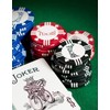Bicycle 8G 50Count Clay Poker Chips 8G Clay Poker Chips,