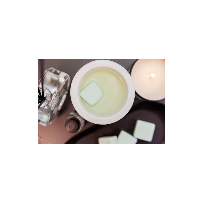 Modern Classics - Sea Salt & Oakmoss - Soy Wax