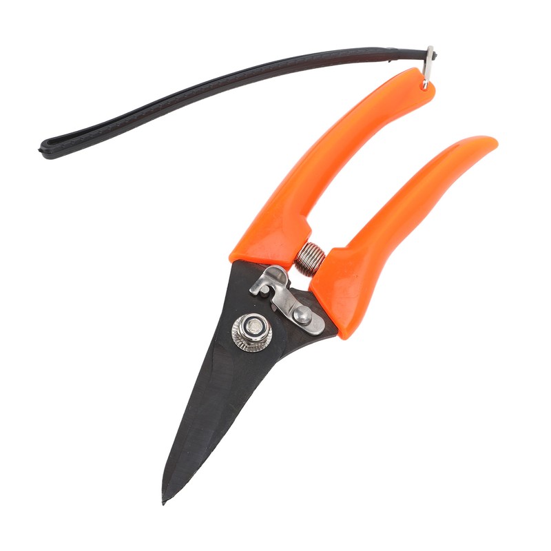 Hoof Shear Red Stainless Steel High Carbon Steel Multifunctional Hoof
