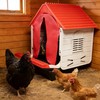 Difsight Roll Away Chicken Nesting Box, 13° Auto Egg Collection