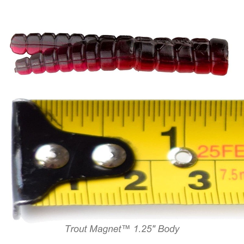 Leland's Lures Trout Magnet 50-Pack Split-Tail Grub Body Pack, Also