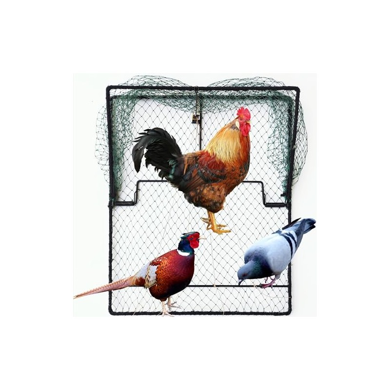 Pigeon Bird Trap Trapping Chicken Quail 2 Pack Spring Starling