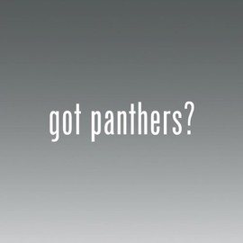 Got Panthers -die Cut - Vinyl- Die Cut Decal Bumper Sticker for Windows, Cars, Trucks, Laptops, Etc.