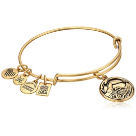 Alex and Ani Women's Team USA Swimming Bangle Gold One Size