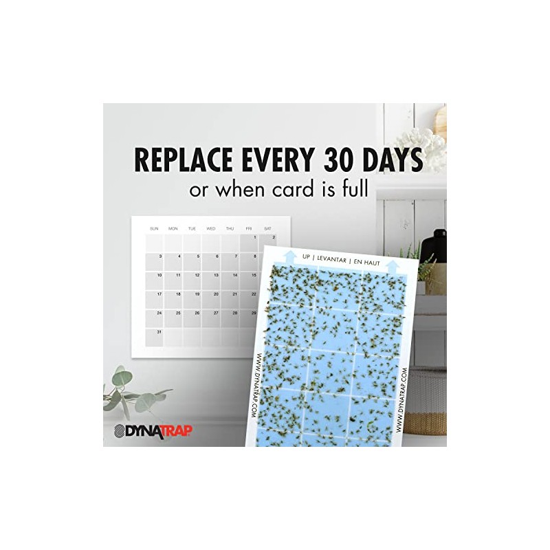 DynaTrap Replacement StickyTech Glue Cards - 6 Pack