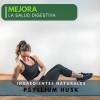 Psyllium Husk 500mg Naíma 240 Cápsulas Suplemento Fibra Digestiva