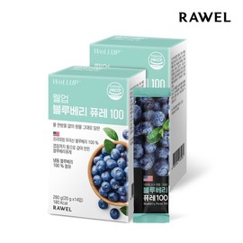 Roel Well-Up Blueberry Puree 100 (20g x 14 packs) 2 boxes / 로엘 웰업 블루베리 퓨레 100 (20g x 14포) 2박스