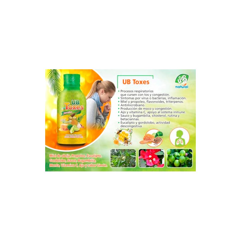 Toxes Jarabe Tos Miel Abeja Ingredientes Naturales 240 Azúcar