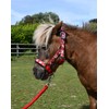 Rhinegold Unicorn Headcollar and Rope Set - Shetland - Red