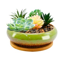 LIDSCURA 7.4 inch Ceramic Bonsai Pots with Trays Shallow Planters, Succulent Planters with Drainage Hole, Round Large Shallow Pots, Bonsai Pots Garden Decorative Cactus Stand Flower Container (Green)