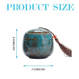 Small Urns for Human Ashes, Mini Urn for Ashes for Adults Urns for Pets Dogs Cat Ashes Keepsake Funeral Urn Ash Holder (Blue)