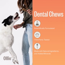 Ollie Dental Chews for Medium Dogs, 12 Oz, Fresh Breath, Teeth Cleaning Treats, Sticks for Dog Oral Care, with Parsley and Cinnimon, for Pups 26-50 lbs