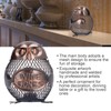 Art Wrought Iron Owl Storage Tank Metal Money Box Handicrafts