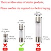 SIXQJZML 10 Pack F2AL Fast-Blow Fuse 2A 250V Glass Fuses