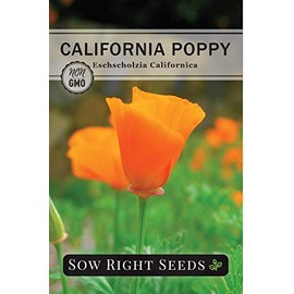 Sow Right Seeds - California Poppy Seeds to Plant - Full Instructions for Planting and Growing a Beautiful Flower Garden; Non-GMO Heirloom Seeds; Wonderful Gardening Gift (1)