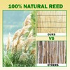 Jollybower Natural Reed Fencing Rolls, Eco-Friendly Reed Fence Curtain, 4Ft