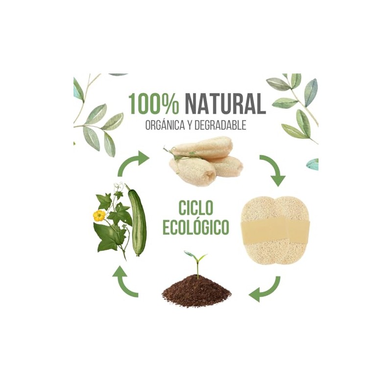 10 Esponja Vegetal Exfoliante Lufa 100% Natural Limpieza Corporal Elimina