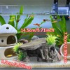 PENGYETHTY Goldfish, Aquarium, Hideaway, Aquarium, Tunnel, Aquarium, Object, Fish, Tropical