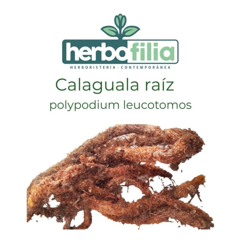 Calaguala Polypodium Leucotomos Raíz Cremas 60gr