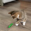 Petstages Orkakat Wiggle Worm Dental Catnip Cat Chew Toy