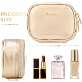 Extrei Gent Small Makeup Bag Travel Train Case with Mirror and Light Mini Travel Makeup Train Case Cosmetic Organizer 3 Adjustable Brightness Toiletry Bag Portable Artist Storage